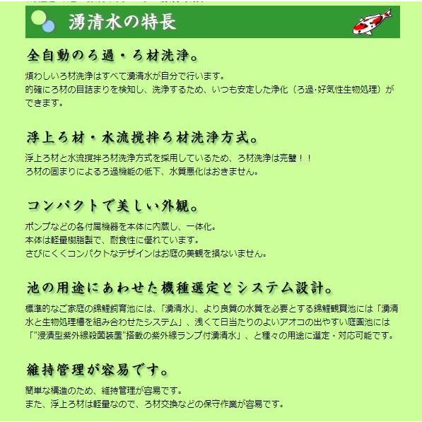 （株）石垣 U湧清水 97-20型(IW-U20-2型) 60Hz 殺菌灯付き 代引不可 ※　個人宅への発送不可商品　定価2090000円 |  | 05