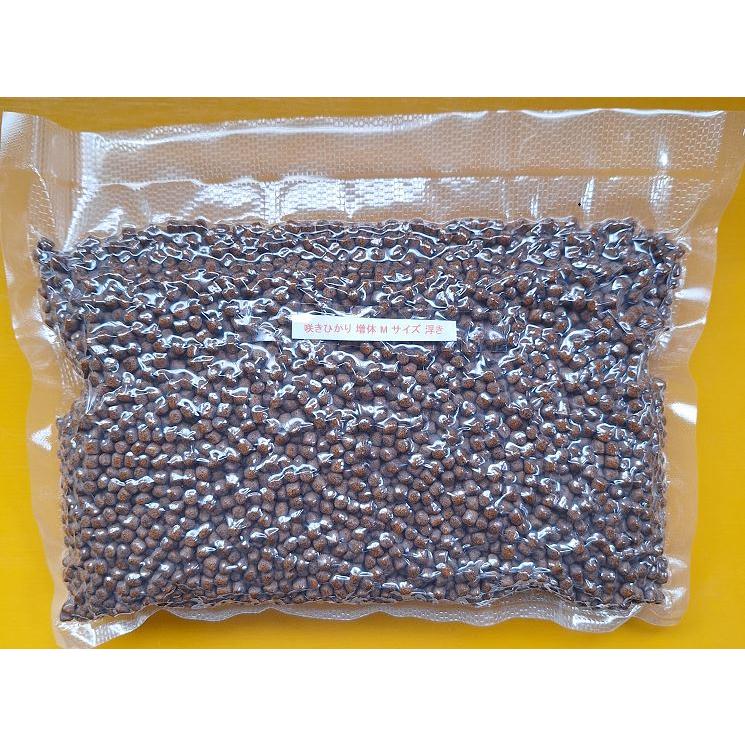 咲きひかり 増体 M 浮き 500g 同梱OK |  | 01