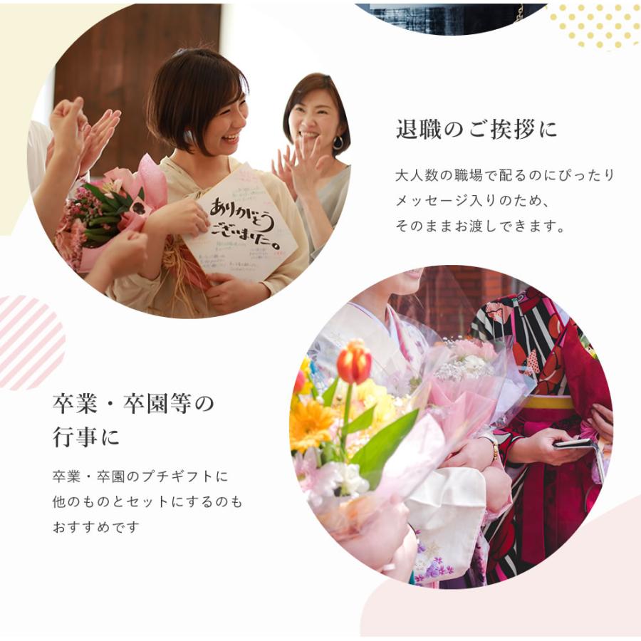 お菓子 ありがとう せんべい 50枚 煎餅 個包装 まとめ買い 大量 お礼 お返し 挨拶 退職 転勤 三州製菓 | ブランド登録なし | 07