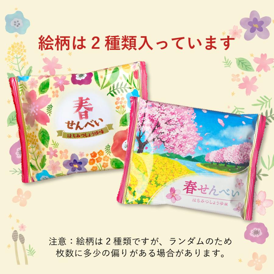 お菓子 春 せんべい 50枚 煎餅 個包装 まとめ買い お祝 挨拶 卒業 卒園 入学 入園 三州製菓 | ブランド登録なし | 03