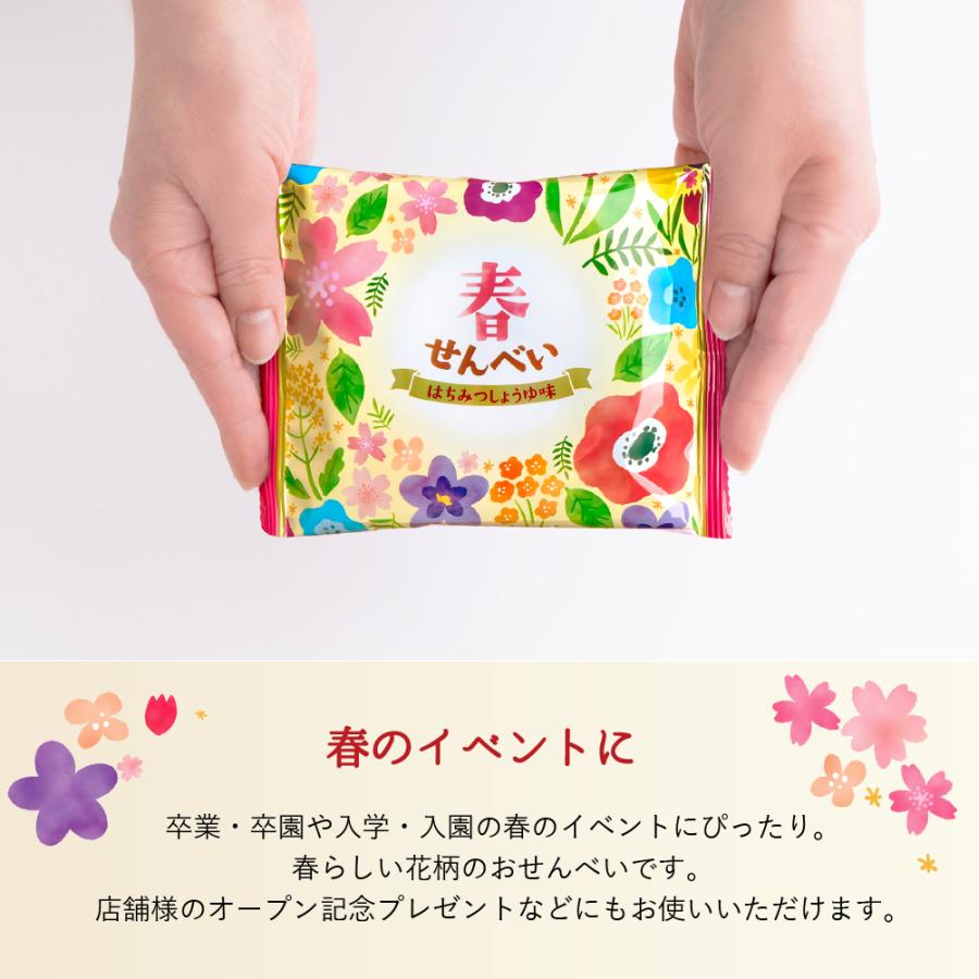お菓子 春 せんべい 50枚 煎餅 個包装 まとめ買い お祝 挨拶 卒業 卒園 入学 入園 三州製菓 | ブランド登録なし | 02
