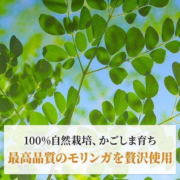 モリンガ 100% タブレット サプリメント 青汁 無農薬 無添加 スーパーフード moringa 鹿児島県産 管理栄養士監修 粒 720粒×70mg 爆買 | ナチュ凛 | 15