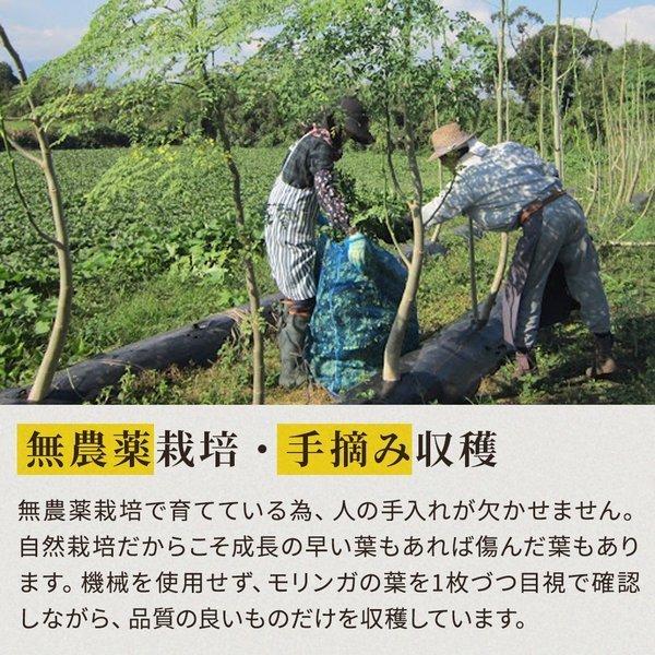 モリンガ 100% タブレット サプリメント 青汁 無農薬 無添加 スーパーフード moringa 鹿児島県産 管理栄養士監修 粒 720粒×70mg｜3star-shop｜14