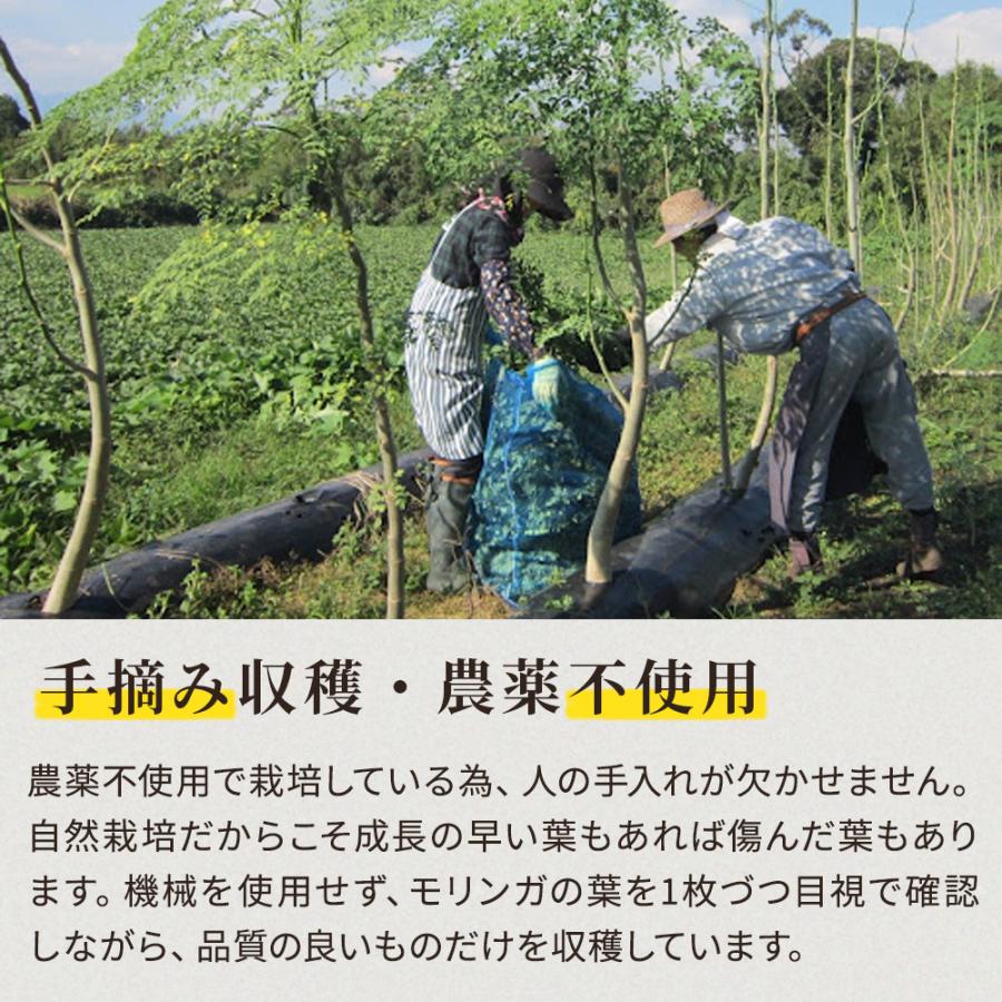 ナチュ凛 モリンガ 100% サプリメント 無農薬 無添加 青汁 パウダー