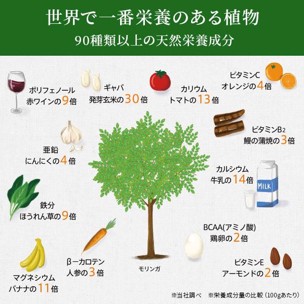 モリンガ 100% サプリメント 無農薬 無添加 青汁 パウダー スーパーフード moringa 鹿児島産 粒 管理栄養士監修 140粒×327mg｜3star-shop｜08