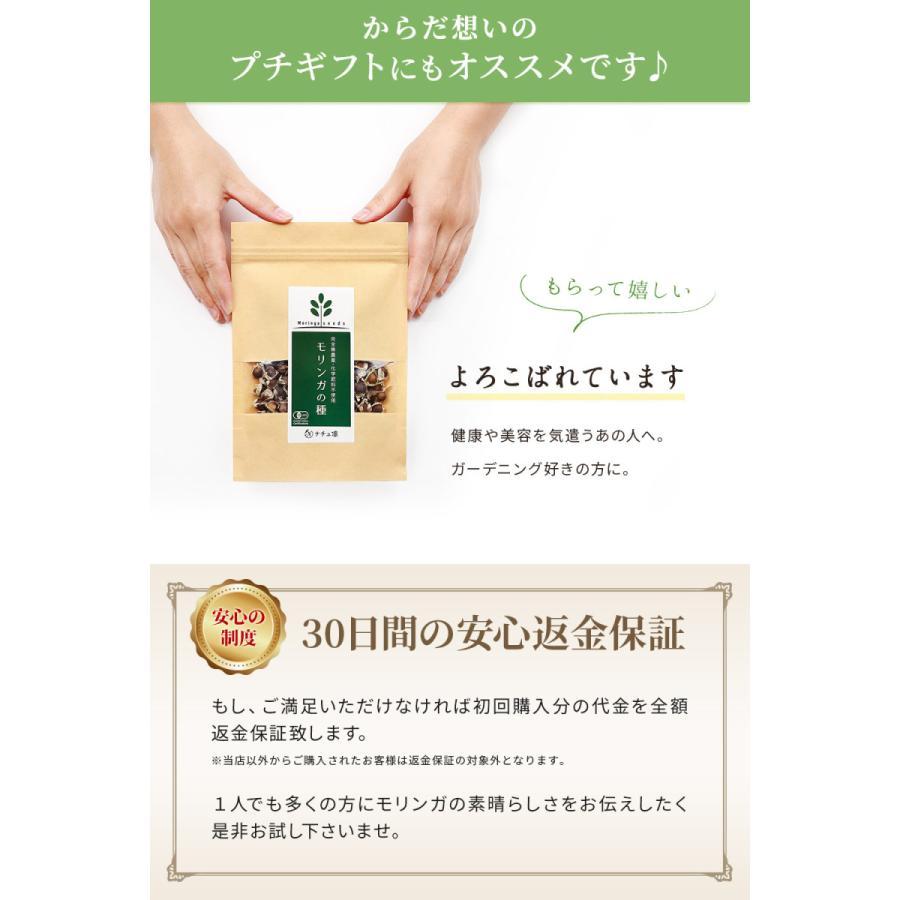 ナチュ凛 モリンガ 種 有機 オーガニック モリンガの種 サプリ ナチュ凛 モリンガ 種 有機 オーガニック モリンガの種 サプリ