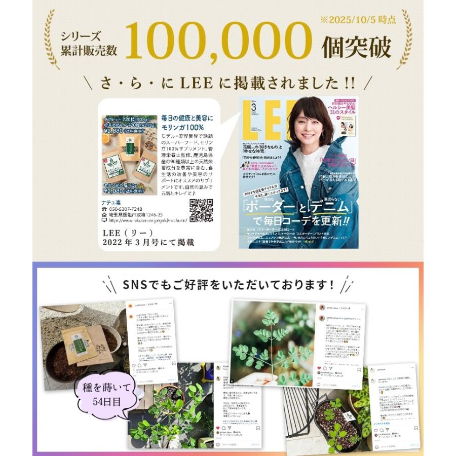 ナチュ凛 モリンガ 種 有機 オーガニック モリンガの種 サプリ 無農薬