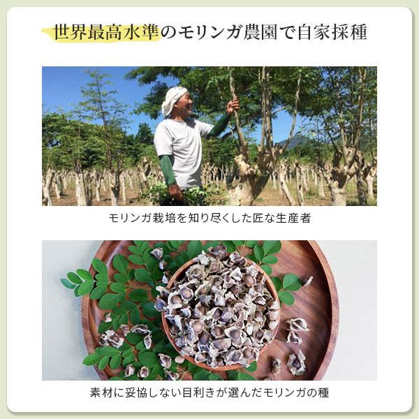 モリンガ 種 有機 オーガニック モリンガの種 サプリ 無農薬 在来種 固定種 moringa seeds スーパーフード 栽培 苗 約250粒50g｜3star-shop｜07