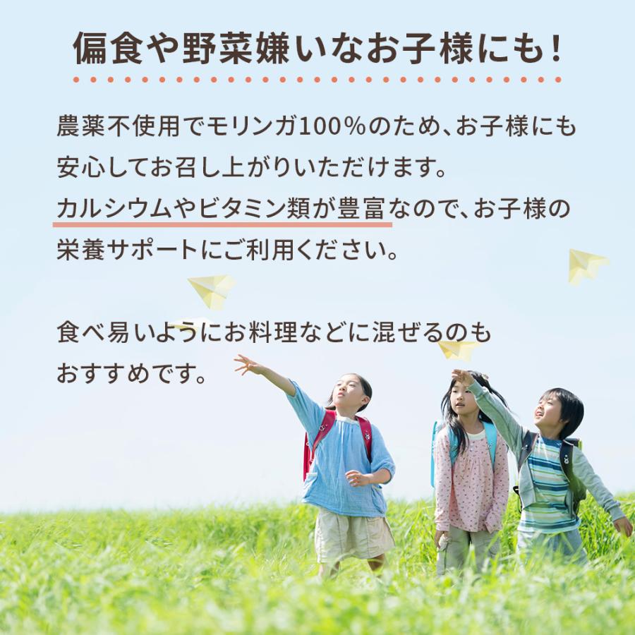 モリンガ パウダー 国産 鹿児島県産 モリンガ100％ 無農薬 無添加 個包装 2g×30包 粉末 青汁 サプリ 野菜不足 管理栄養士監修 スーパーフード