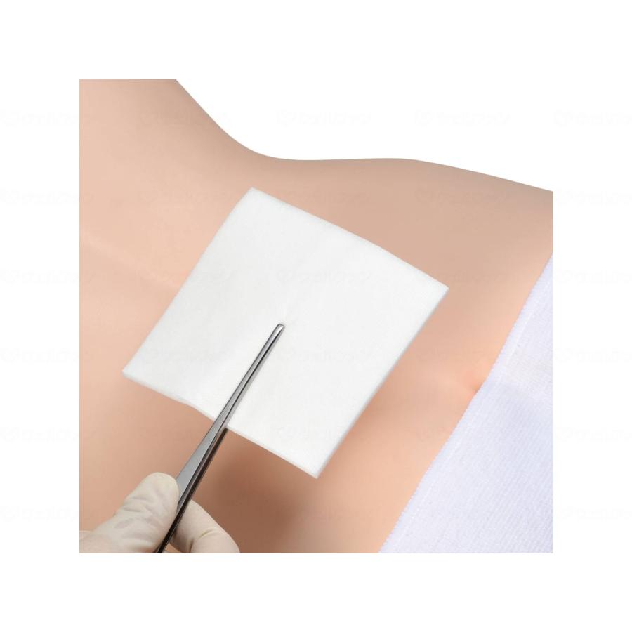 アルケア デルマエイド（100枚入） 8号 : ケアショップ3to4 - 通販