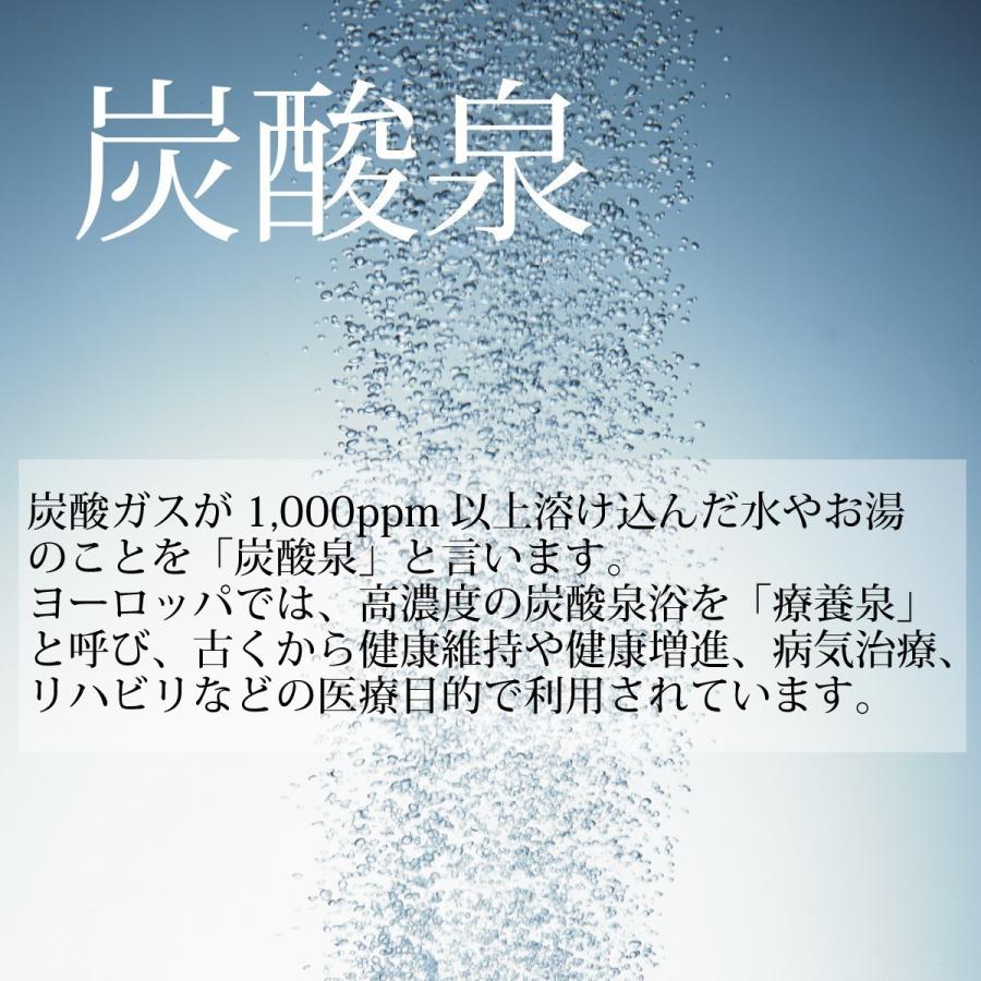 炭酸泉タブレット入浴剤＜ブルー＞50g×10錠 |  | 01