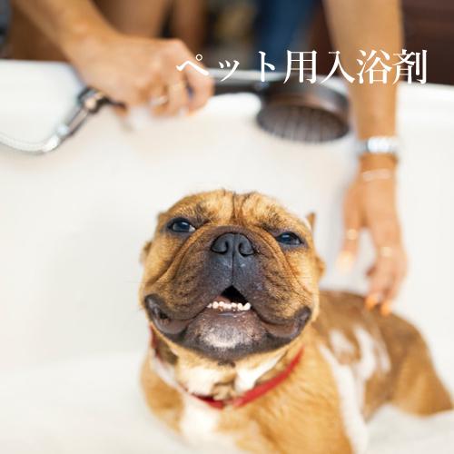 炭酸泉タブレット ワンちゃん用／20錠入 | 