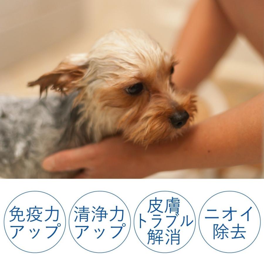 炭酸泉タブレット ワンちゃん用／20錠入 |  | 05