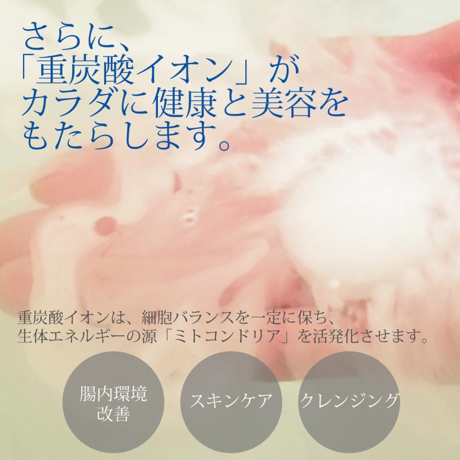 炭酸泉タブレット ワンちゃん用／20錠入×2袋 |  | 05
