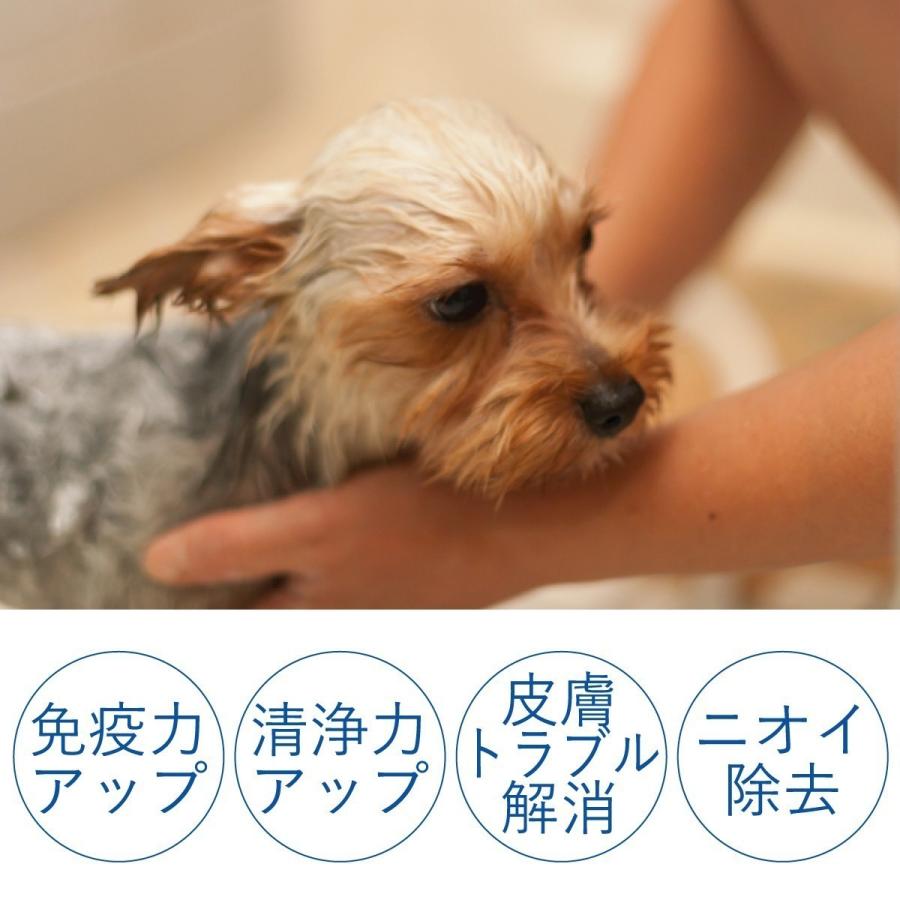 炭酸泉タブレット ワンちゃん用／20錠入×3袋 |  | 05