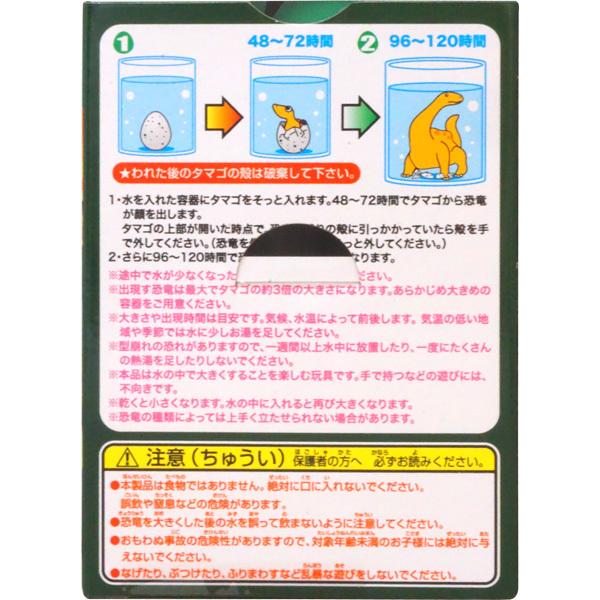 300円 辰巳屋 恐竜のたまご3 白亜紀編 [1箱 12個入] : ミカミ