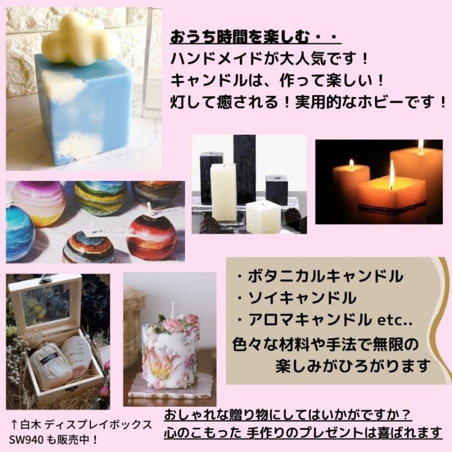 キャンドル モールド 型 手作り ボタニカルキャンドル ソイキャンドル