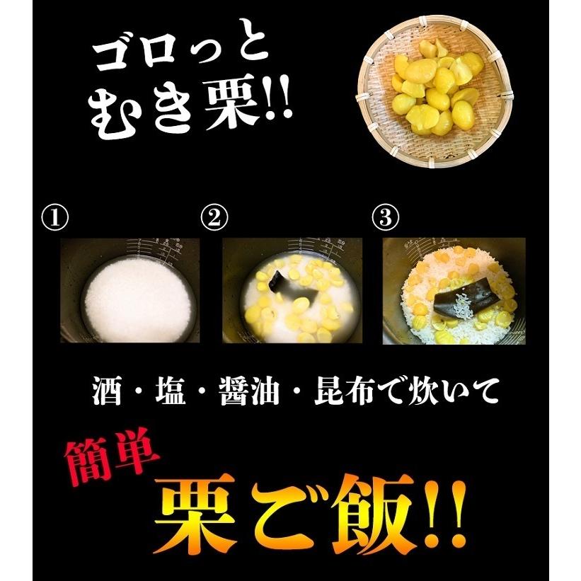 栗ごはんの素 2パック 栗ごはん 栗ご飯 送料無料 メール便 ポスト投函 ポイント消化｜403inakaya｜02