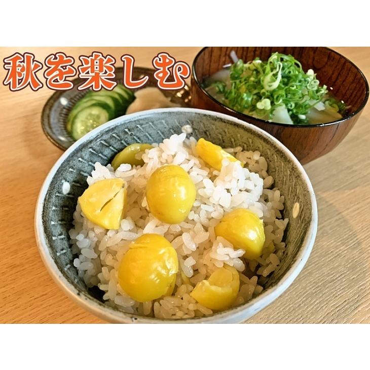 栗ごはんの素 2パック 栗ごはん 栗ご飯 送料無料 メール便 ポスト投函 ポイント消化｜403inakaya｜03