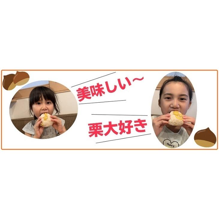 栗ごはんの素 2パック 栗ごはん 栗ご飯 送料無料 メール便 ポスト投函 ポイント消化|403inakaya|04