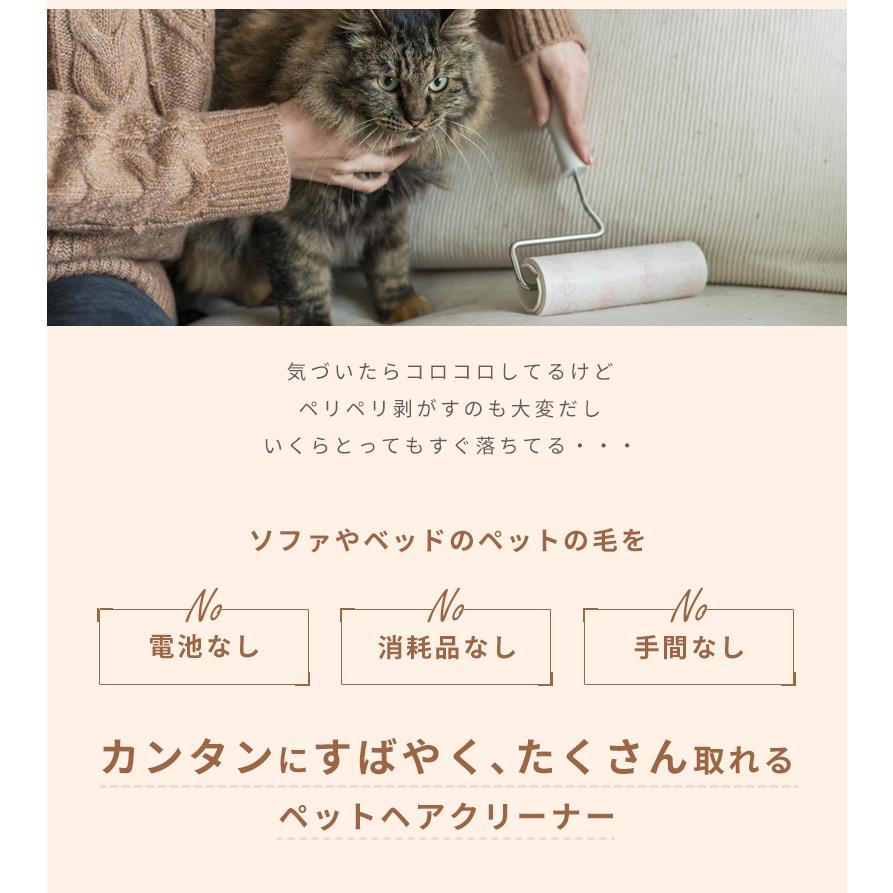 ペットクリーナー KETORE ケトレ 毛 取り 抜け毛クリーナー