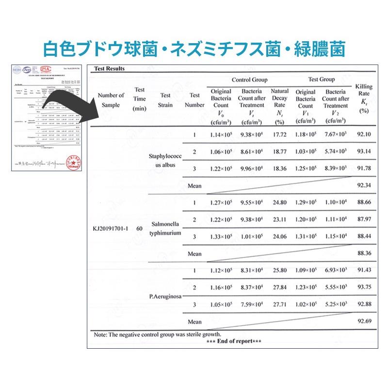 紫外線 除菌 消臭 空気清浄機 UV-C UVC Air ランプ 細菌 ウィルス 殺菌 不活化 空間 ライト C波 |  | 05