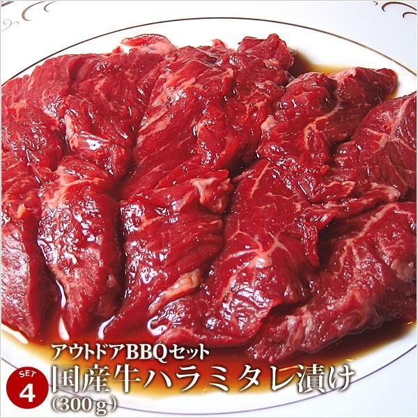 牛肉 豚肉 合計3kg アウトドアBBQセット 12種 肉 バーベキュー ステーキ 肉の日 お中元 お歳暮 ギフト ご贈答 お取り寄せ グルメ STEAK｜4129｜05