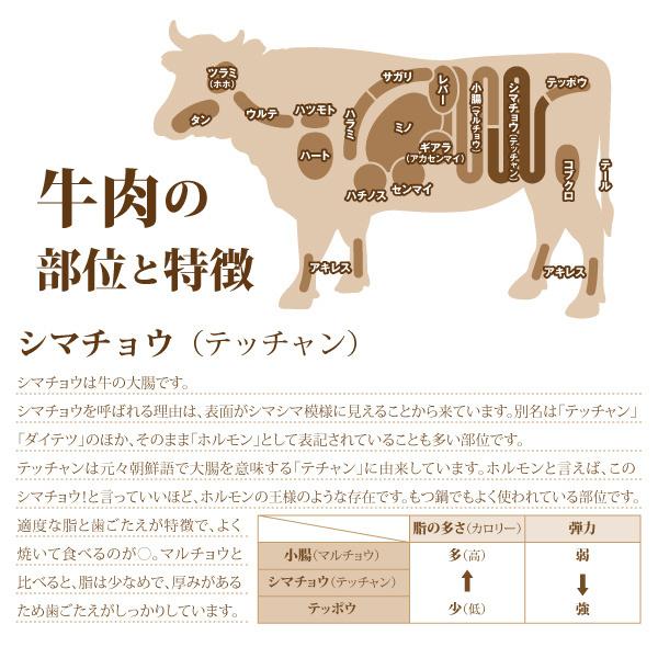 牛肉 シマチョウ 300g 辛味噌だれ ホルモン モツ テッチャン ダイテツ 大腸 焼肉 焼き肉 肉 お肉 牛 バーベキュー q 内臓肉 Bkaratetu300 4129屋 通販 Yahoo ショッピング