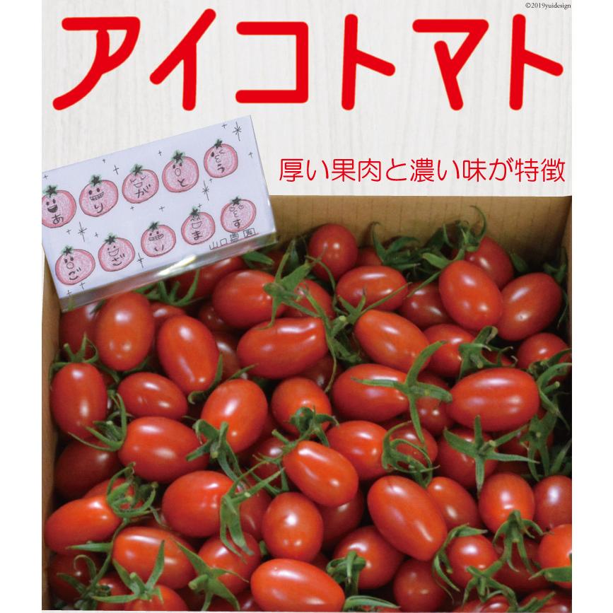 送料無料 アイコトマト ３ｋｇ 長崎県産 やまちゃんのアイコ とまと 九州よかろうもん市場 通販 Yahoo ショッピング