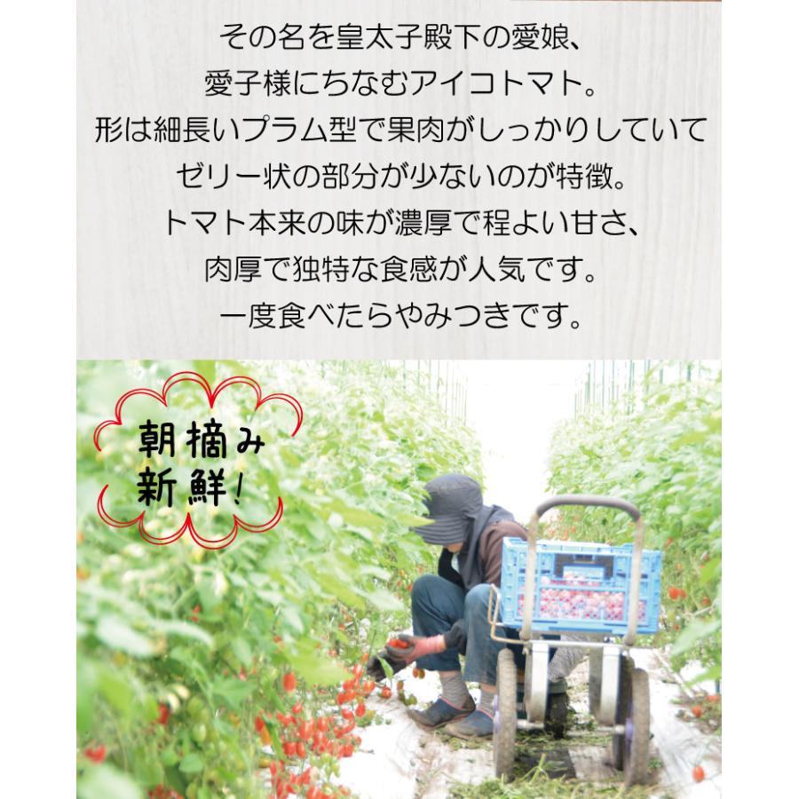 デポー 送料無料 アイコトマト ３Ｋｇ 長崎県産 やまちゃんのアイコ とまと