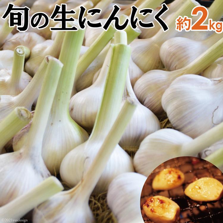 送料無料 旬の生にんにく 約２kg 自然農法 長崎産 島原半島産 国産 ニンニク にんにく 九州よかろうもん市場 通販 Yahoo ショッピング