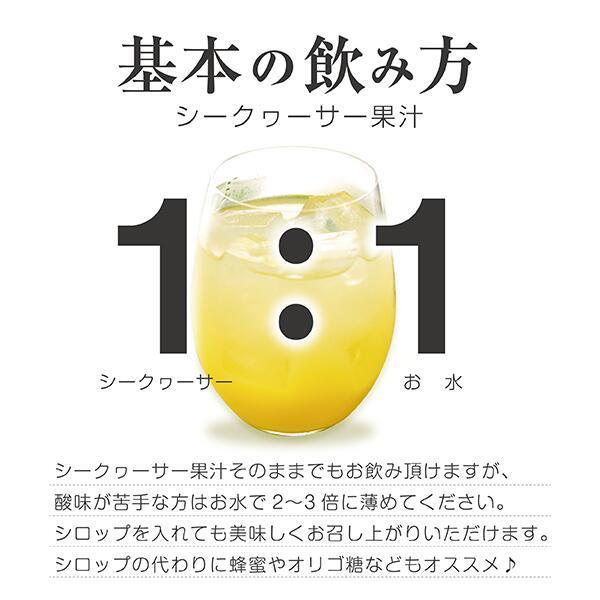 シークワーサー 原液 果汁 ジュース 青切り 果実　専門店のシークヮーサー 500ml×12本｜4193-park｜02