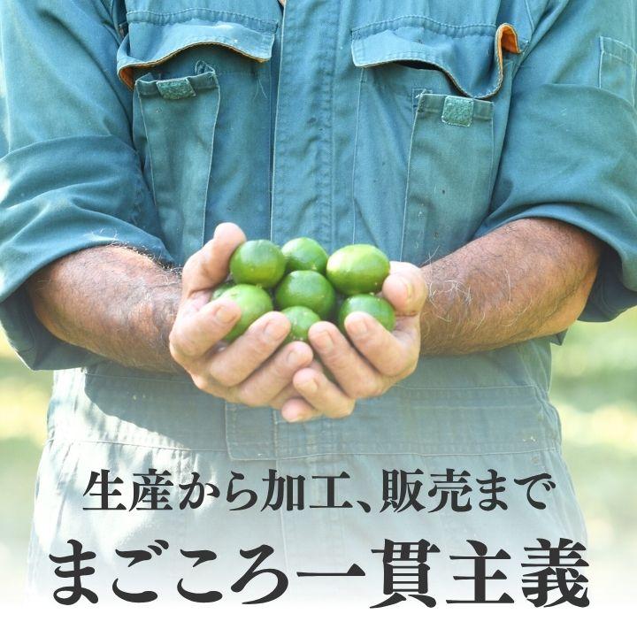 青切り果汁 720ml×3本［1本あたり2,660円］シークワーサー 果汁