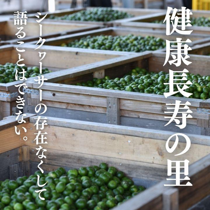 青切り果汁 720ml×3本［1本あたり2,660円］シークワーサー 果汁