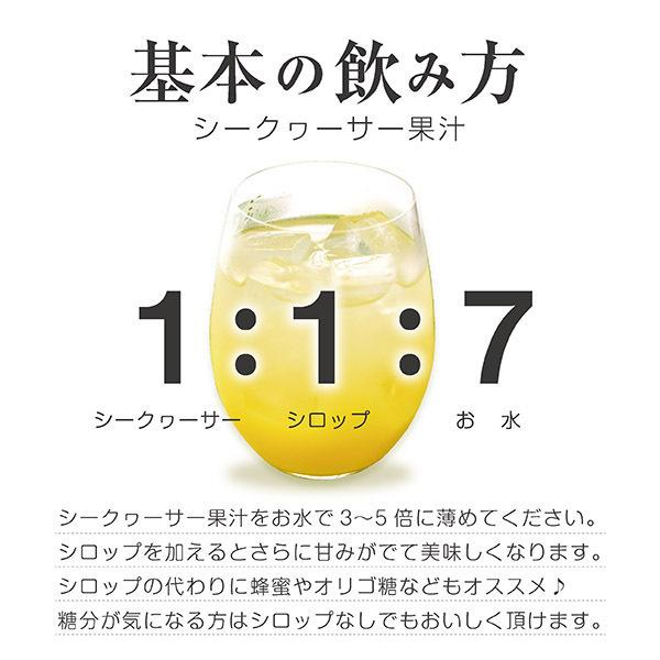 シークワーサー 果実 原液 ジュース　青切り果汁 720ml×12本 