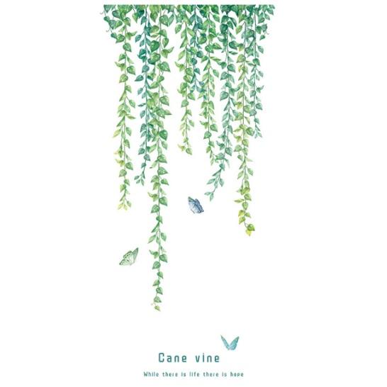 ウォールステッカー ポトスガーランド 枝垂れ つた つる植物 壁紙シール 緑の茎 リーフ ドア 窓際に Qr9434 41ウォールステッカー 通販 Yahoo ショッピング