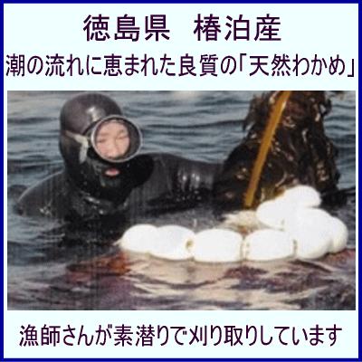 徳島県椿泊産 天然極カットわかめ 乾燥 13g 袋 徳島より発送 ギフト 地域限定送料無料 徳島漁連 椿泊漁協 天然カット若布 天然ワカメ Jftennencut マルタケヤフー店 通販 Yahoo ショッピング