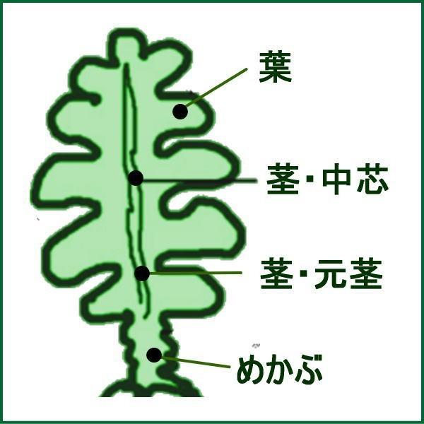 クール便 鳴門塩蔵生若布 1袋500ｇ 徳島より発送 鳴門わかめ 塩蔵生ワカメ Namawakame800 マルタケヤフー店 通販 Yahoo ショッピング