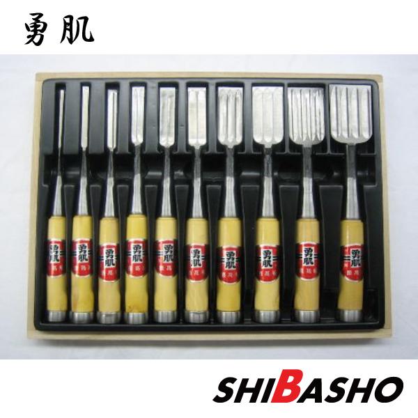 勇肌 追入れのみ グミ柄 10本組セット : 柴商SHIBASHOプライム店