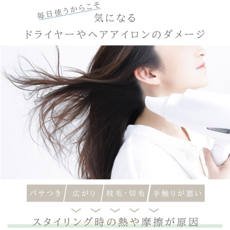 洗い流さない トリートメント アウトバス キュア プログラム ヒートプロテクトオイル ヘアオイル 80ml Cp Hpt A S Style Store 通販 Yahoo ショッピング