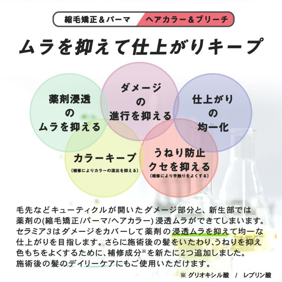 縮毛矯正 前処理剤 セット リファイン ストレートHプラス （縮毛矯正剤