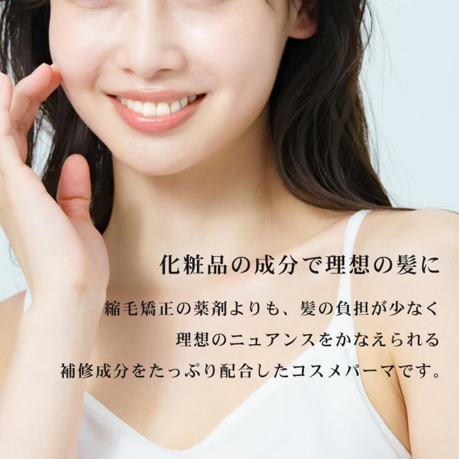 リファインストレートH コスメ コスメパーマ 各100g セルフ くせ毛 ス