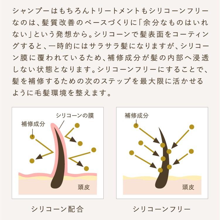 くせ毛 シャンプー トリートメント お試し トライアル トラベル パウチ