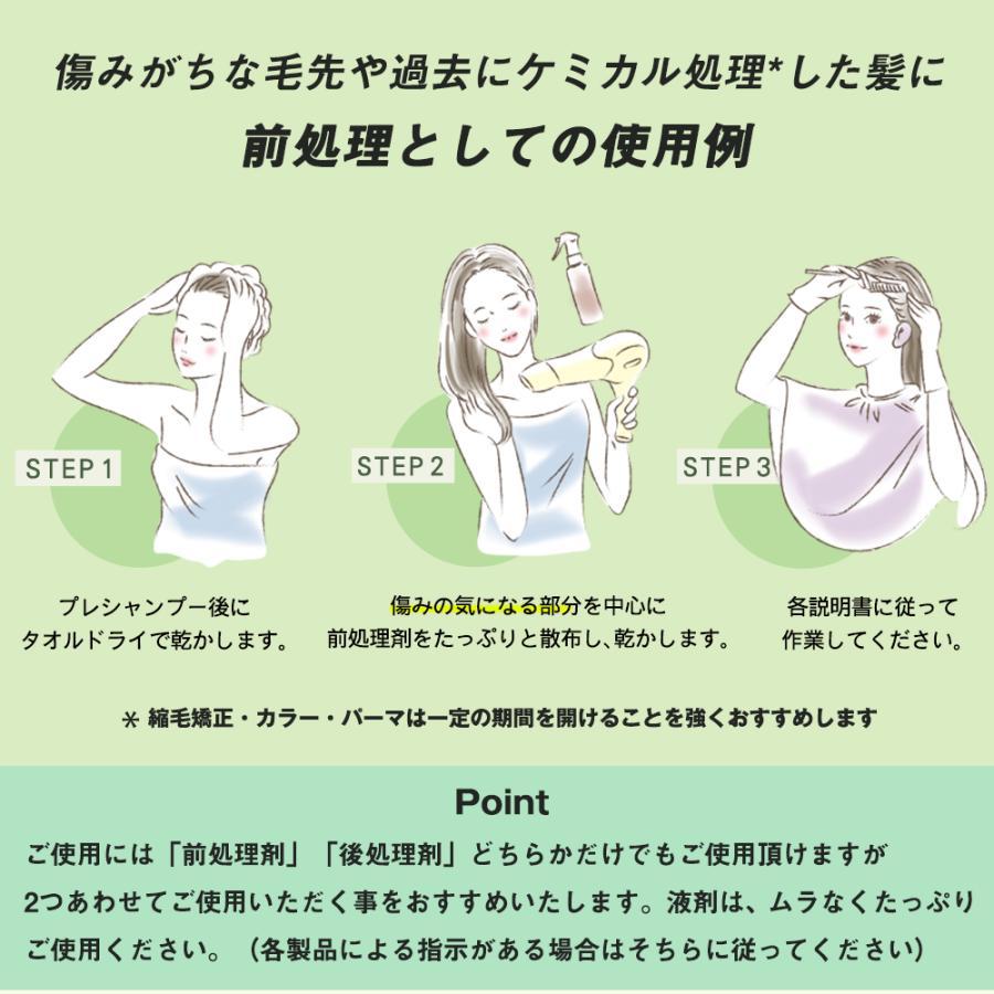 前後処理剤 セット 前処理剤 CERAMIA3 セラミア3 100mL 後処理剤