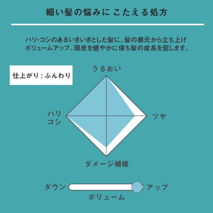シャンプー トリートメント セット くせ毛 Sizuka シズカ 各タイプ別 400ml 400g ボトル Szk400b A S Style Store 通販 Yahoo ショッピング