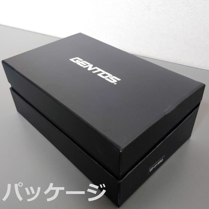 Gシリーズ ジェントス フラッシュライト 高品質LEDライト 充電式 Gシリーズ ジェントス フラッシュライト 高品質LEDライト 充電式