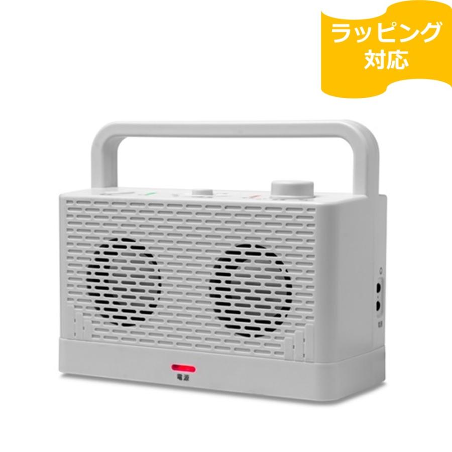 ティーズネットワーク ティーズ みみちか テレビスピーカー ワイヤレス