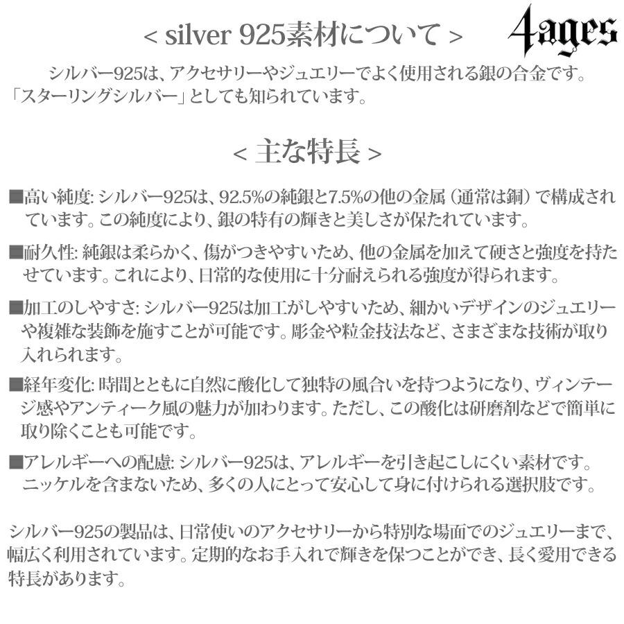 【アクセサリー】【チェーン付き】ブラックスター付きフェザーモチーフペンダント / チェーンセット シルバー925 羽根 シルバー ネックレス 石付き デザイン_10