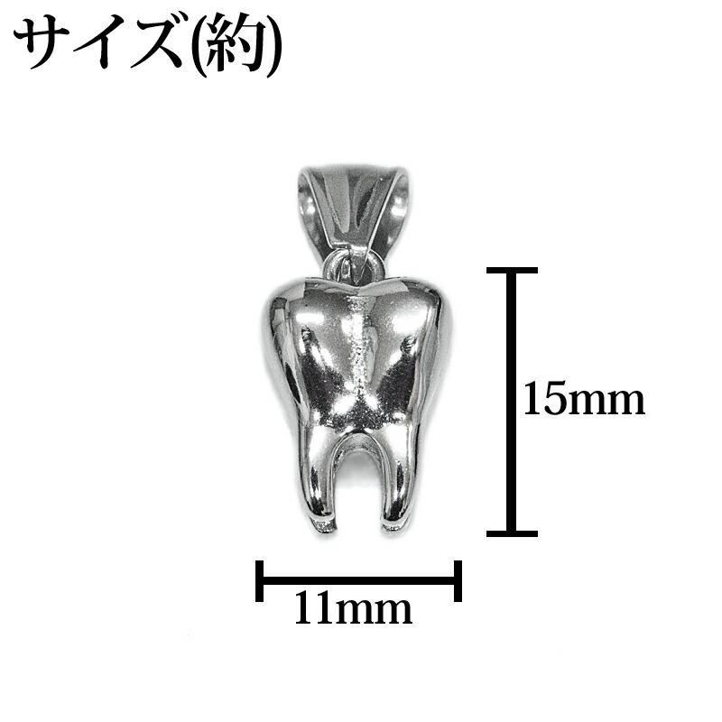 歯　TEETH 銀歯　シルバー925 ネックレストップ　74g アクセサリー ステンレス チェーン付き ティースネックレス / シルバー