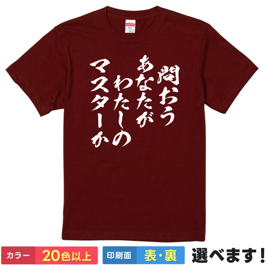 問おうあなたがわたしのマスターか おもしろTシャツ 無地 メンズ レディース キッズ 半袖Tシャツ パロディ 雑貨 ギフト プレゼント fate セイバー アルトリア | United Athle